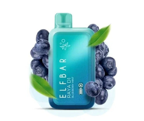 ELF BAR RAYA D1 – Blueberry Mint - Vape Shop Chennai - My Store