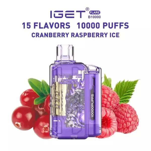 IGET FLARE B10000 – Cranberry Raspberry ice - Vape Shop Chennai - My Store